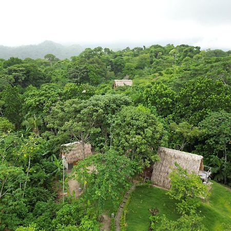 Tiny Houses Unique Tayrona - Dentro Del Parque Tayrona El Zaino Eksteriør bilde