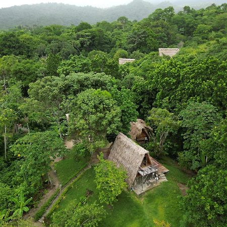 Tiny Houses Unique Tayrona - Dentro Del Parque Tayrona El Zaino Eksteriør bilde