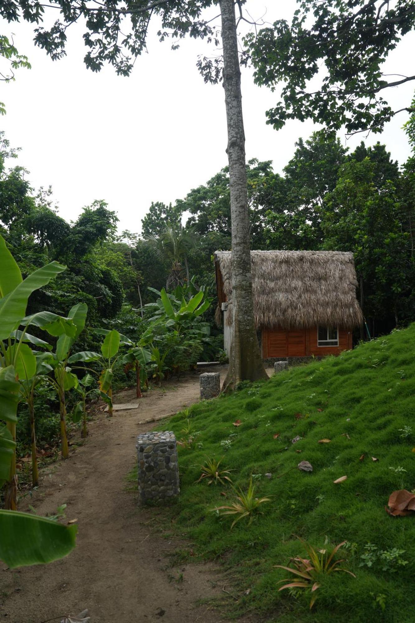 Tiny Houses Unique Tayrona - Dentro Del Parque Tayrona El Zaino Eksteriør bilde