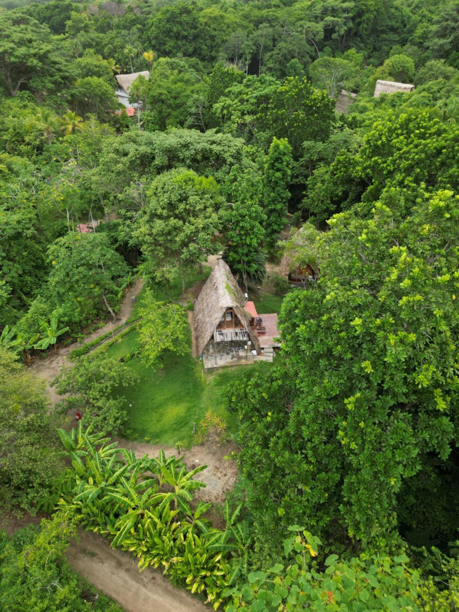 Tiny Houses Unique Tayrona - Dentro Del Parque Tayrona El Zaino Eksteriør bilde