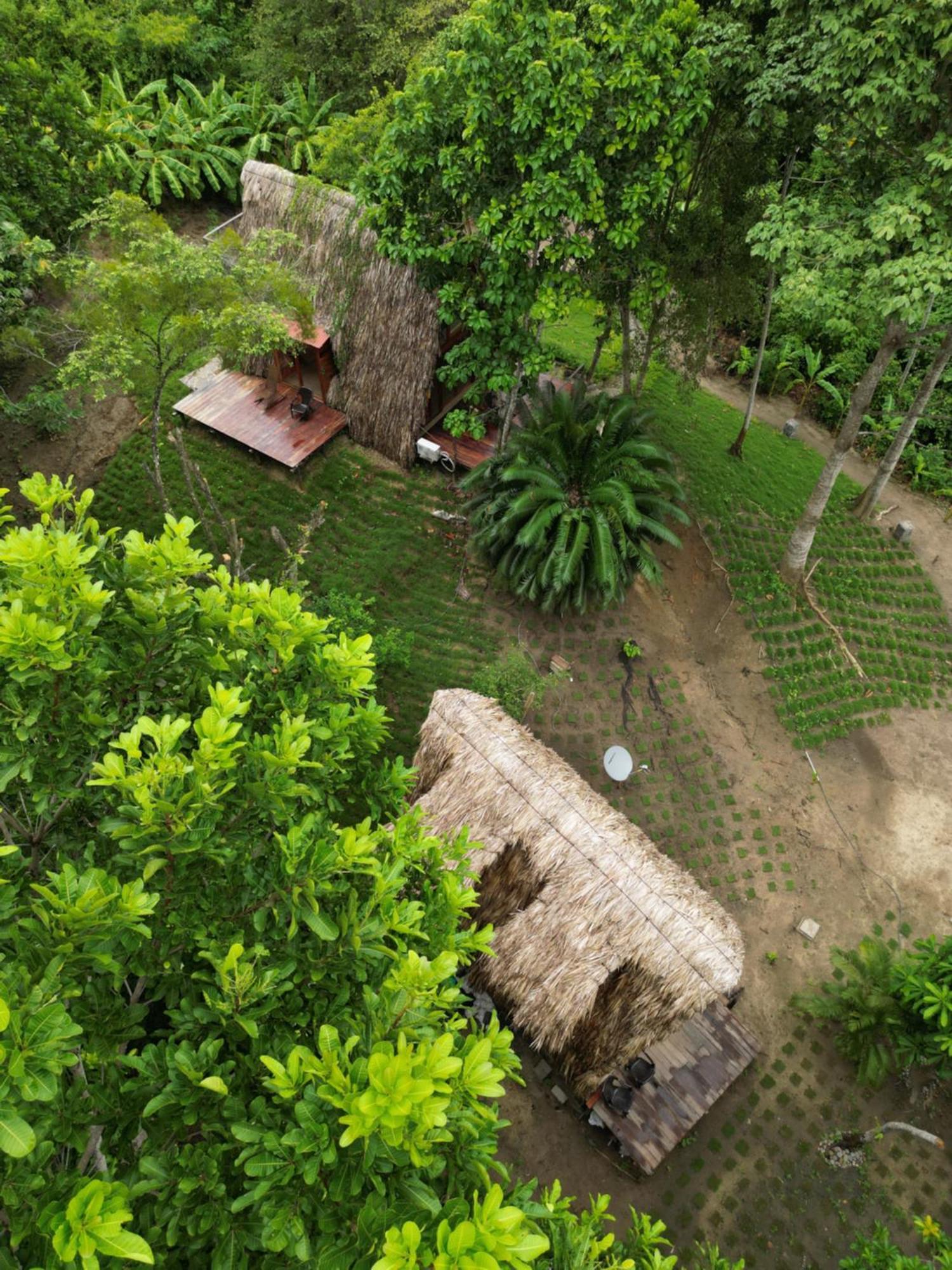 Tiny Houses Unique Tayrona - Dentro Del Parque Tayrona El Zaino Eksteriør bilde