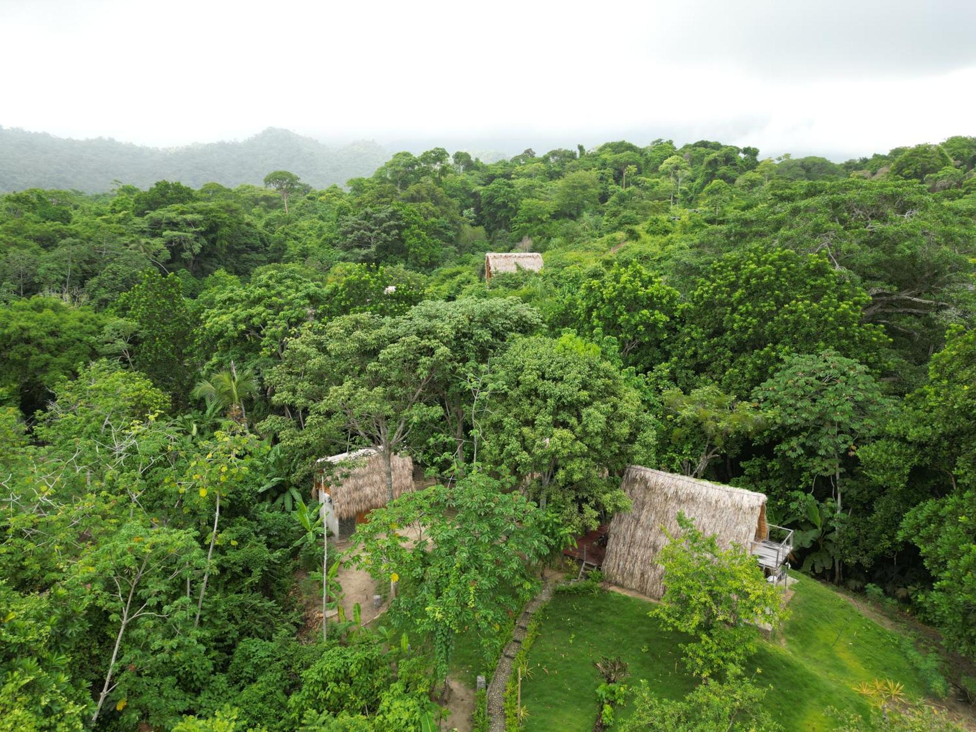 Tiny Houses Unique Tayrona - Dentro Del Parque Tayrona El Zaino Eksteriør bilde