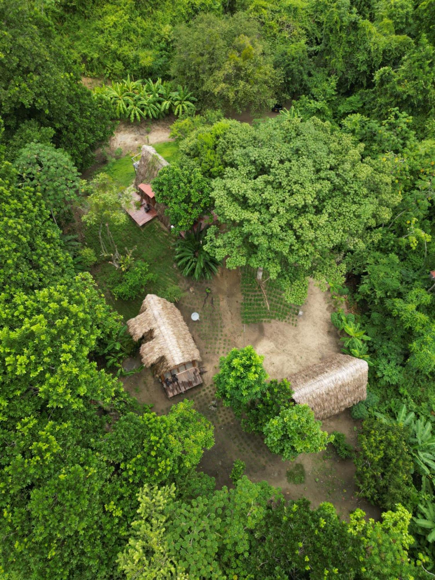 Tiny Houses Unique Tayrona - Dentro Del Parque Tayrona El Zaino Eksteriør bilde