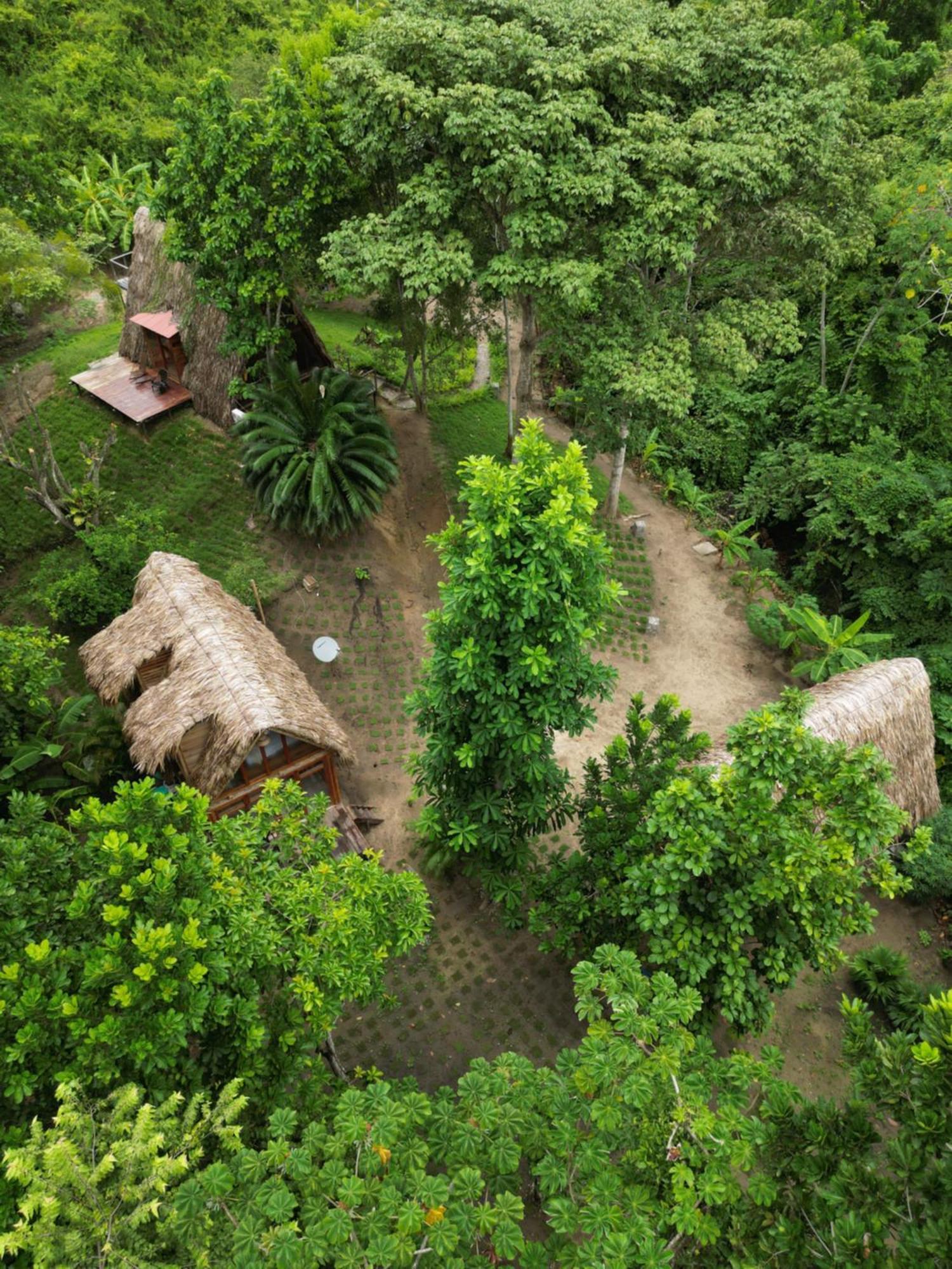 Tiny Houses Unique Tayrona - Dentro Del Parque Tayrona El Zaino Eksteriør bilde
