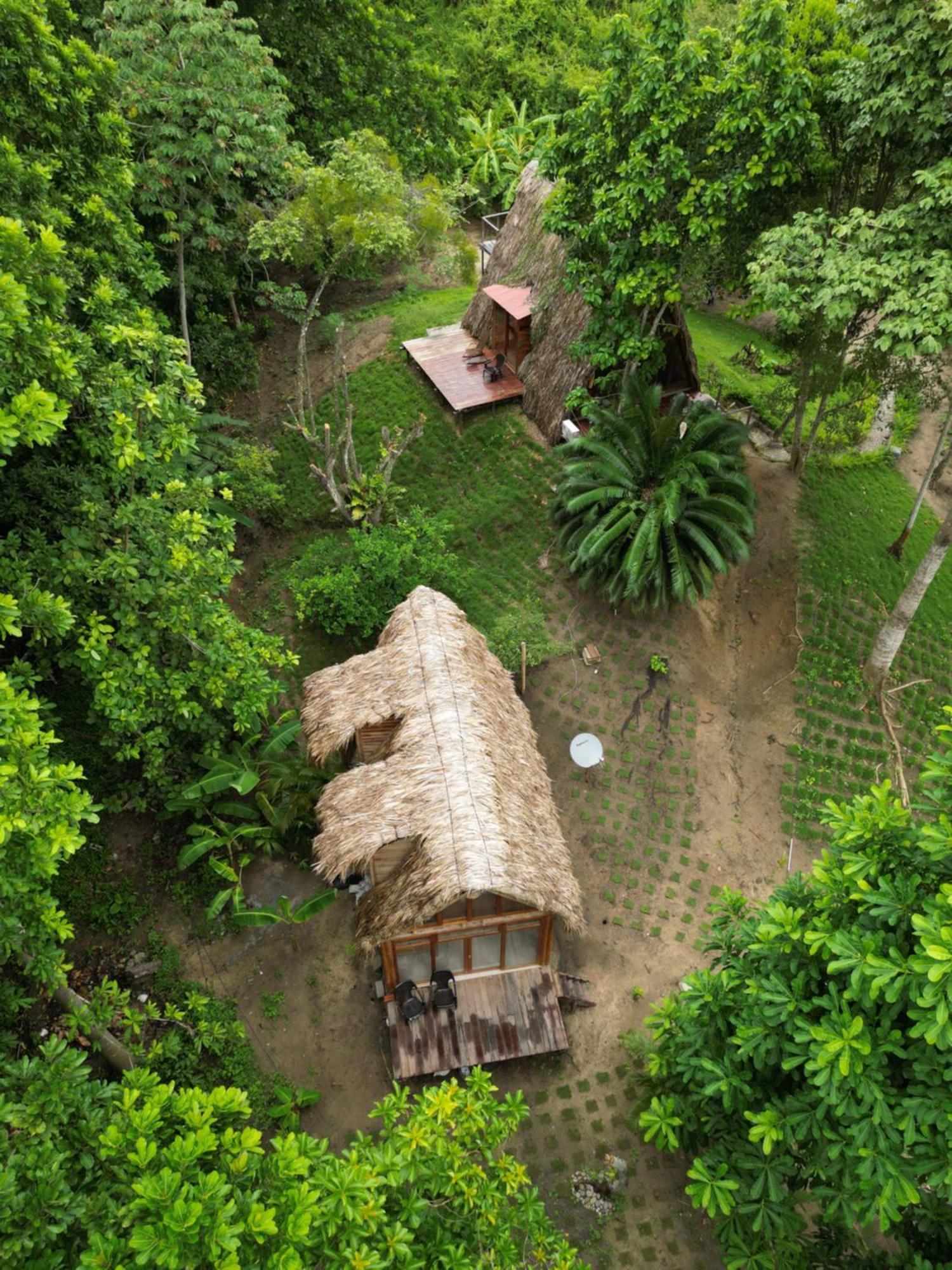 Tiny Houses Unique Tayrona - Dentro Del Parque Tayrona El Zaino Eksteriør bilde