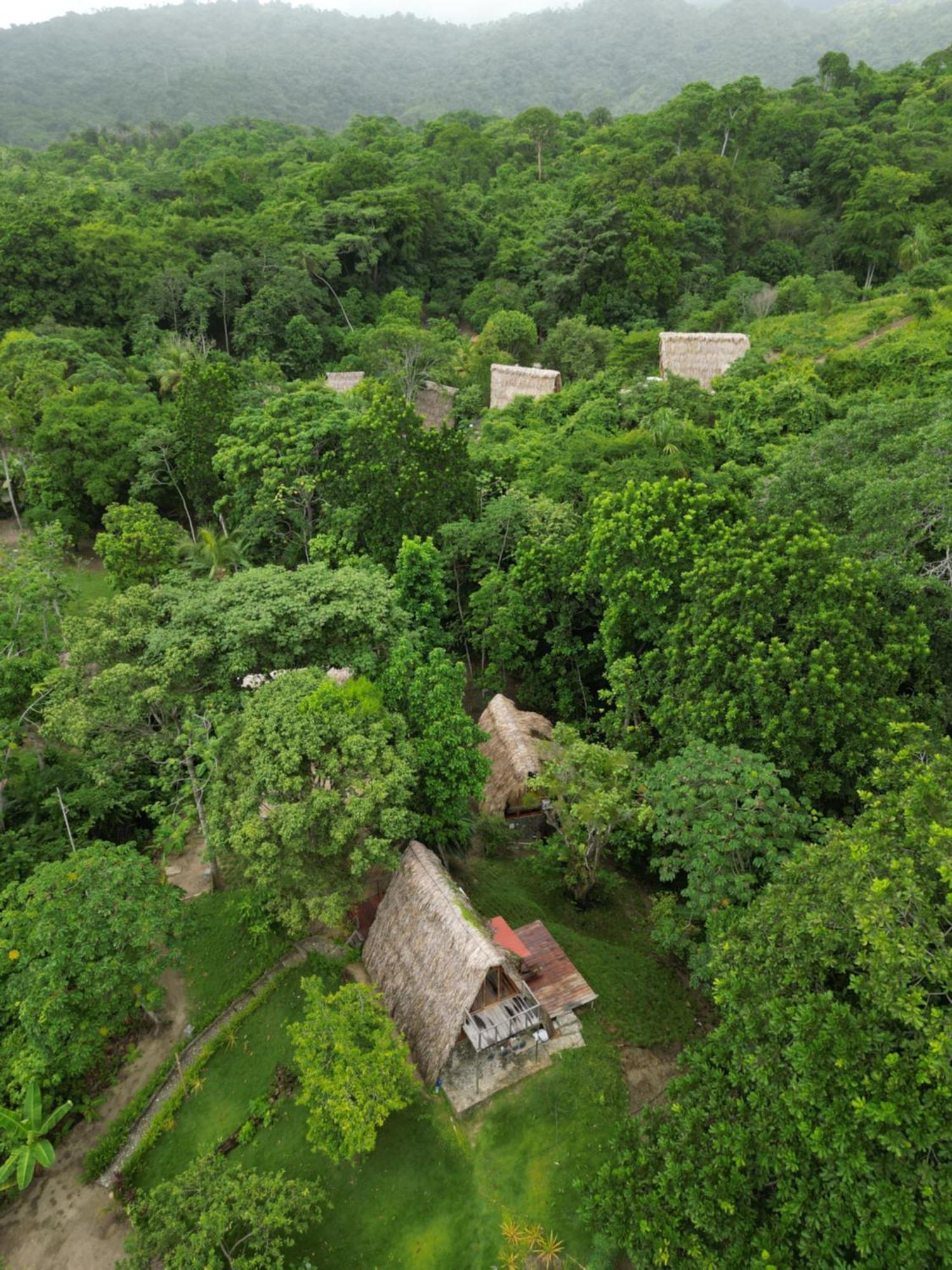 Tiny Houses Unique Tayrona - Dentro Del Parque Tayrona El Zaino Eksteriør bilde
