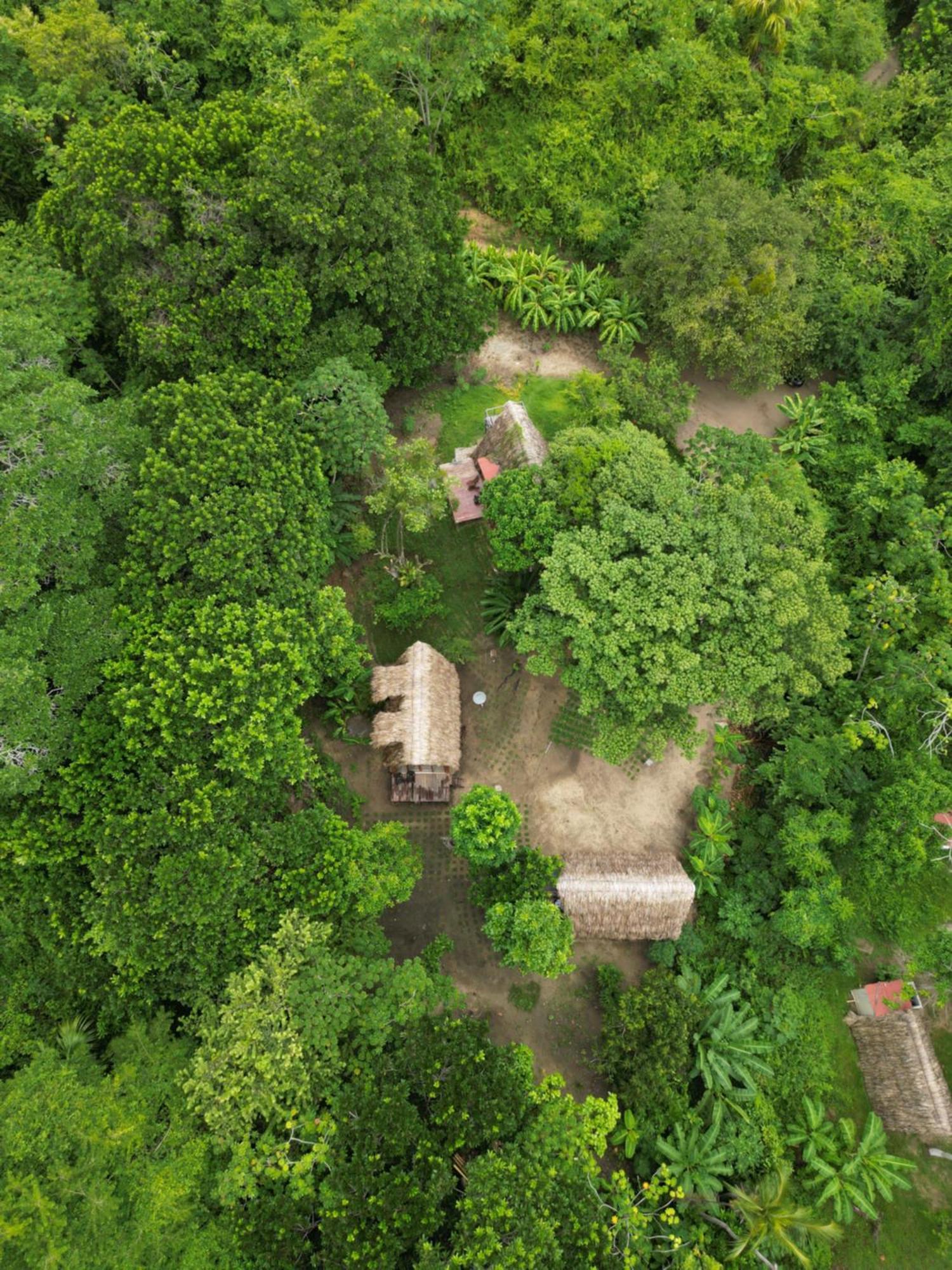 Tiny Houses Unique Tayrona - Dentro Del Parque Tayrona El Zaino Eksteriør bilde