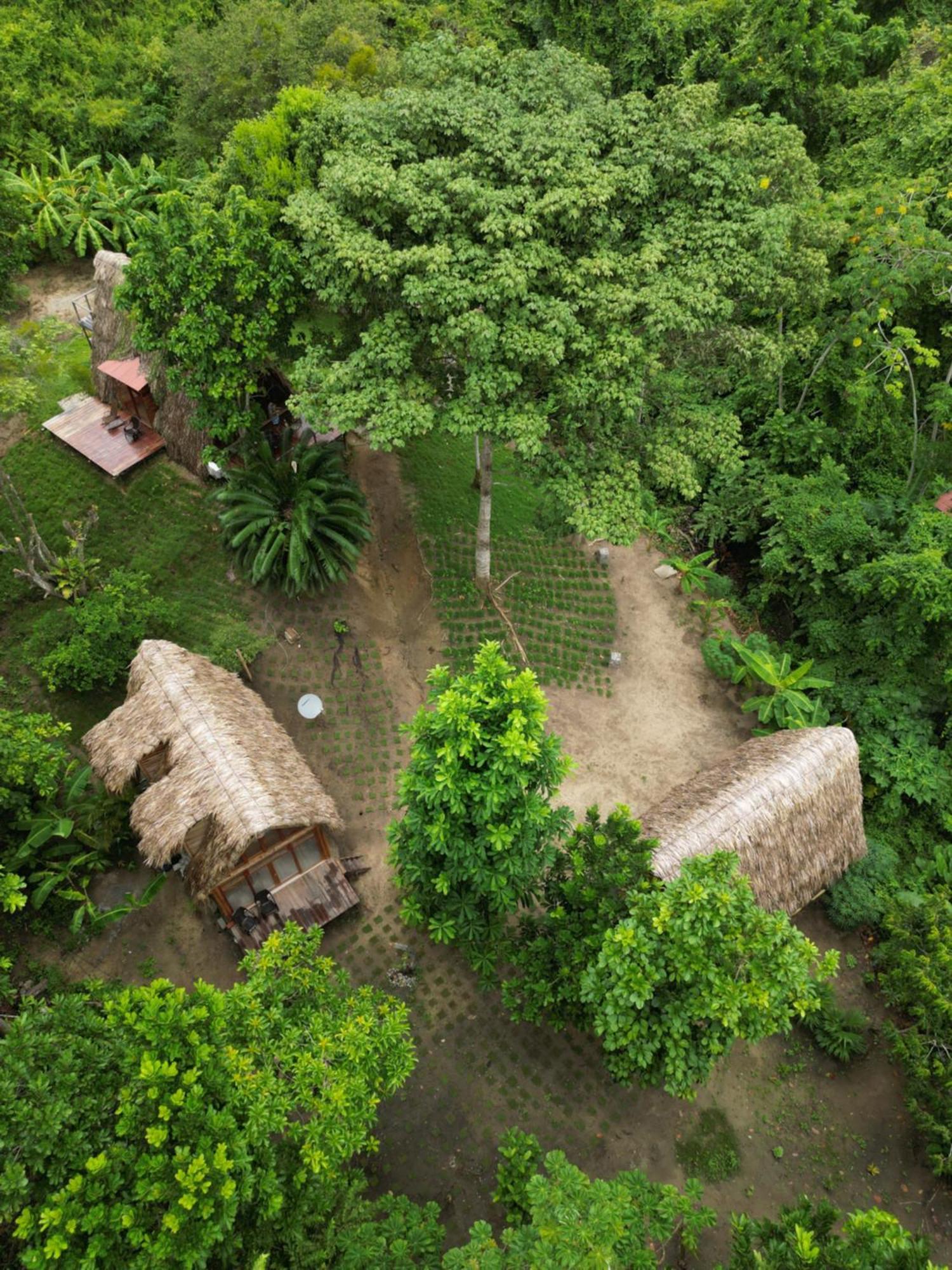 Tiny Houses Unique Tayrona - Dentro Del Parque Tayrona El Zaino Eksteriør bilde