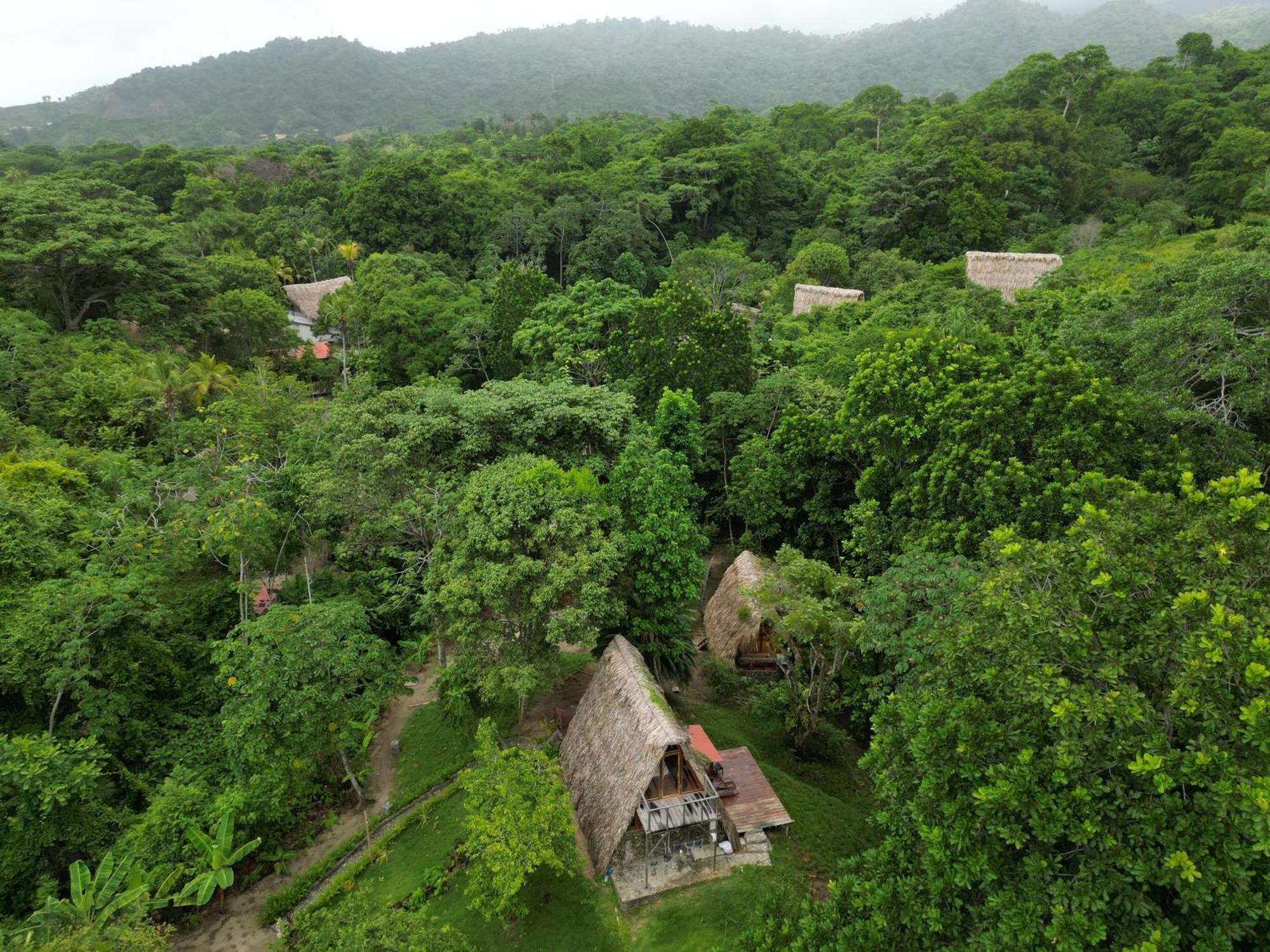 Tiny Houses Unique Tayrona - Dentro Del Parque Tayrona El Zaino Eksteriør bilde