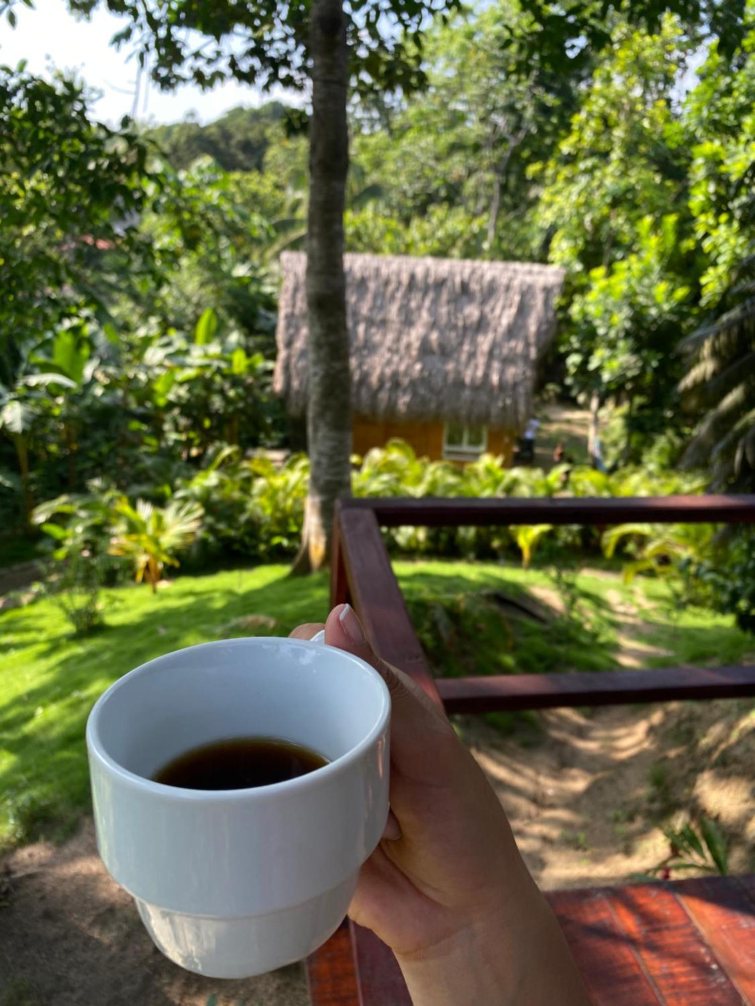 Tiny Houses Unique Tayrona - Dentro Del Parque Tayrona El Zaino Eksteriør bilde