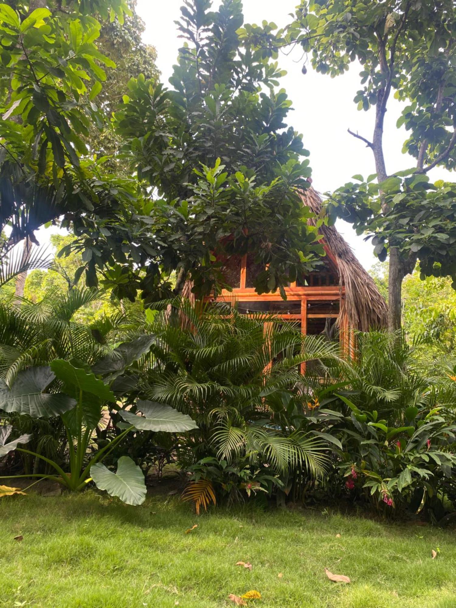 Tiny Houses Unique Tayrona - Dentro Del Parque Tayrona El Zaino Eksteriør bilde
